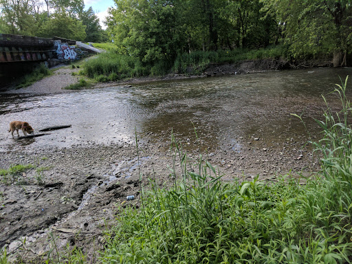 Nature Preserve «Forest Glen Woods», reviews and photos, 5420 N Forest Glen Ave, Chicago, IL 60630, USA