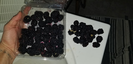 Grocery Store «Safeway», reviews and photos, 14922 Olympic Dr, Clearlake, CA 95422, USA