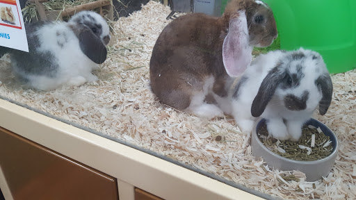 Pet Supply Store «Pet Supermarket», reviews and photos, 2924 13th St, St Cloud, FL 34769, USA