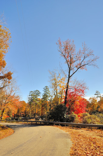 Event Venue «Cousiac Manor», reviews and photos, 9960 Old Sweet Hall Ferry Crossing, Lanexa, VA 23089, USA