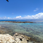Photo n° 6 de l'avis de Camille.o fait le 16/08/2022 à 01:21 pour La Rhumerie du pirate à Saint-François