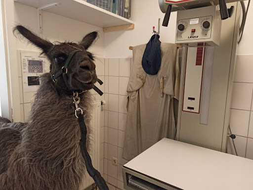 Tierarztpraxis Backnang, Sabrina Hohberg unter Backnang, 