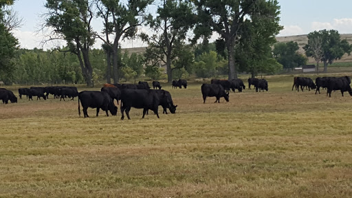 Tourist Attraction «Greeley Poudre River Trail», reviews and photos, Vern Schafer Blvd, Greeley, CO 80631, USA