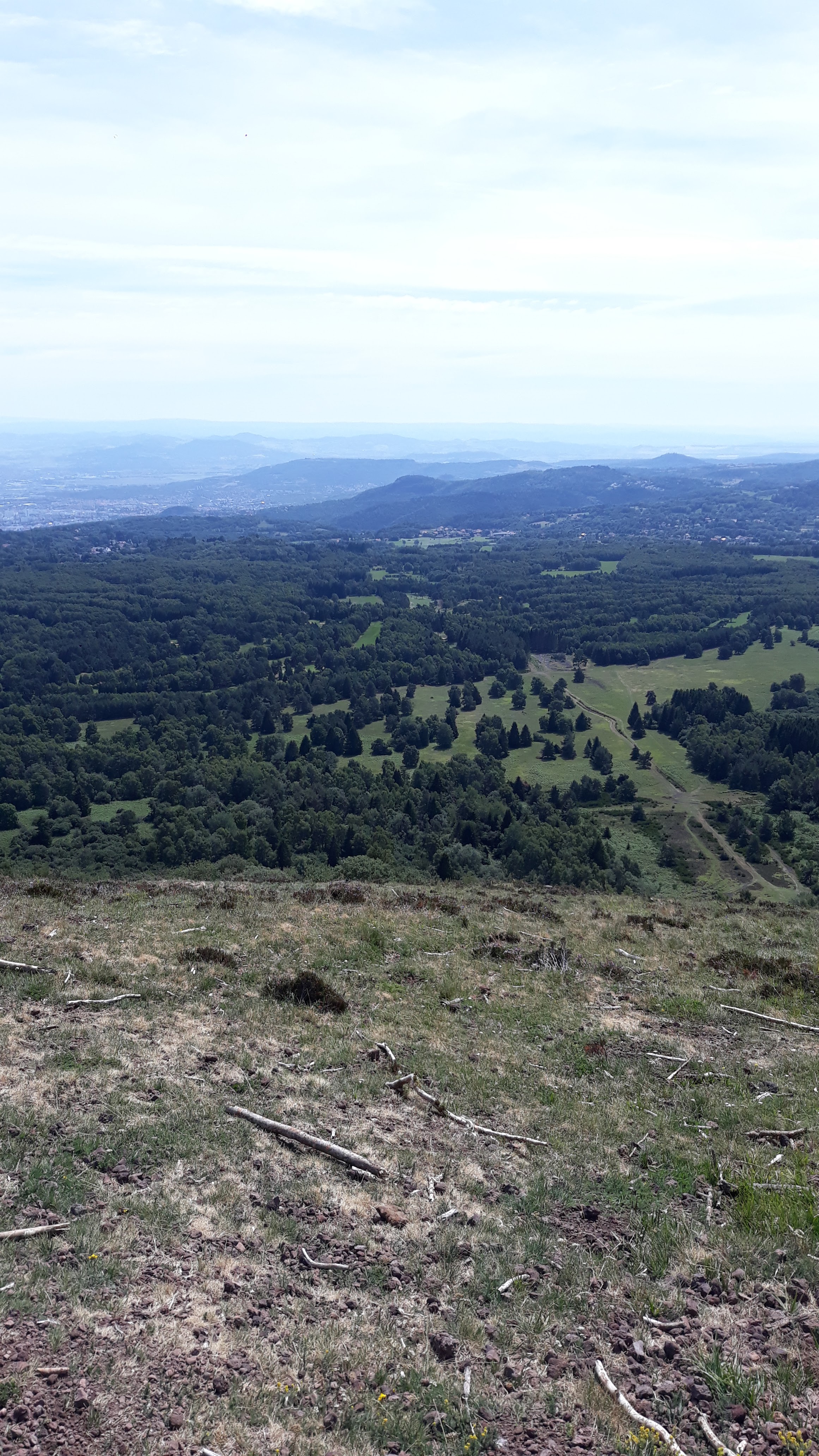 Photo n° 7 de l'avis de Mathis.l fait le 17/08/2019 à 07:13