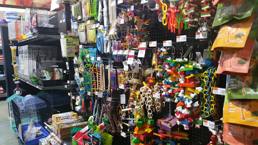 Pet Supply Store «Pet Supplies Plus», reviews and photos, 2091 Bronze Star Dr, Woodland, CA 95776, USA