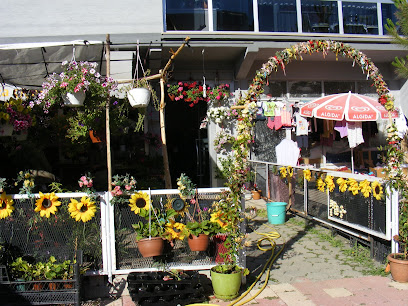 Mimoza Çiçek Evi (Kesme buket çiçek, Saksılı canlı çiçek, Düğün Sünnet Araba süsleme, çelenk ) adrese teslimat yapılır.