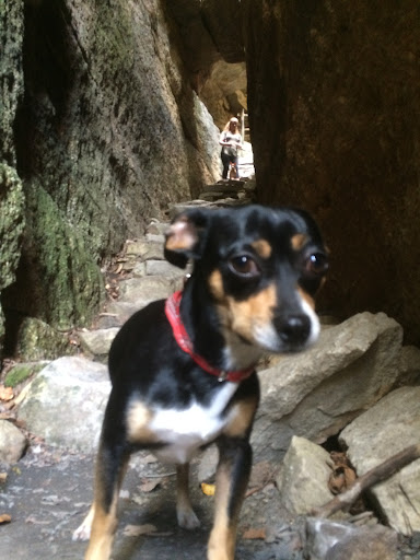 Tourist Attraction «Ice Caves», reviews and photos, Sams Point Rd, Pine Bush, NY 12566, USA