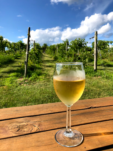 Winery «Wild Mountain Winery», reviews and photos, 16906 Wild Mountain Rd, Taylors Falls, MN 55084, USA