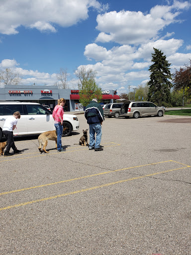 Pet Store «Feed Rite Pet Shop & Supply», reviews and photos, 11760 Belleville Rd, Belleville, MI 48111, USA