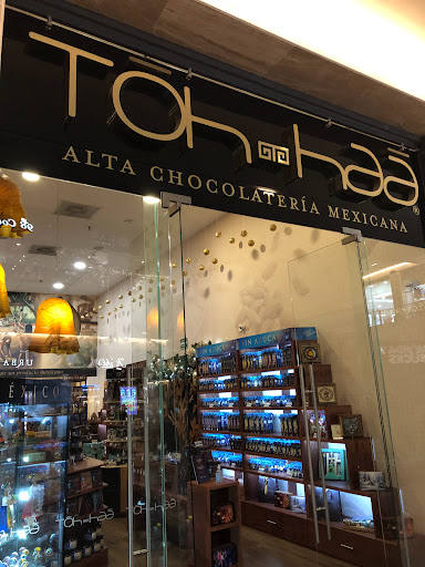Toh haa Alta Chocolatería Mexicana