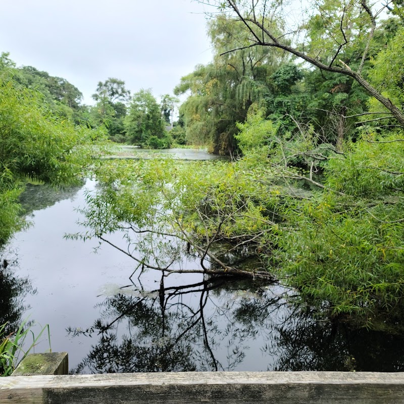 Tanglewood Preserve