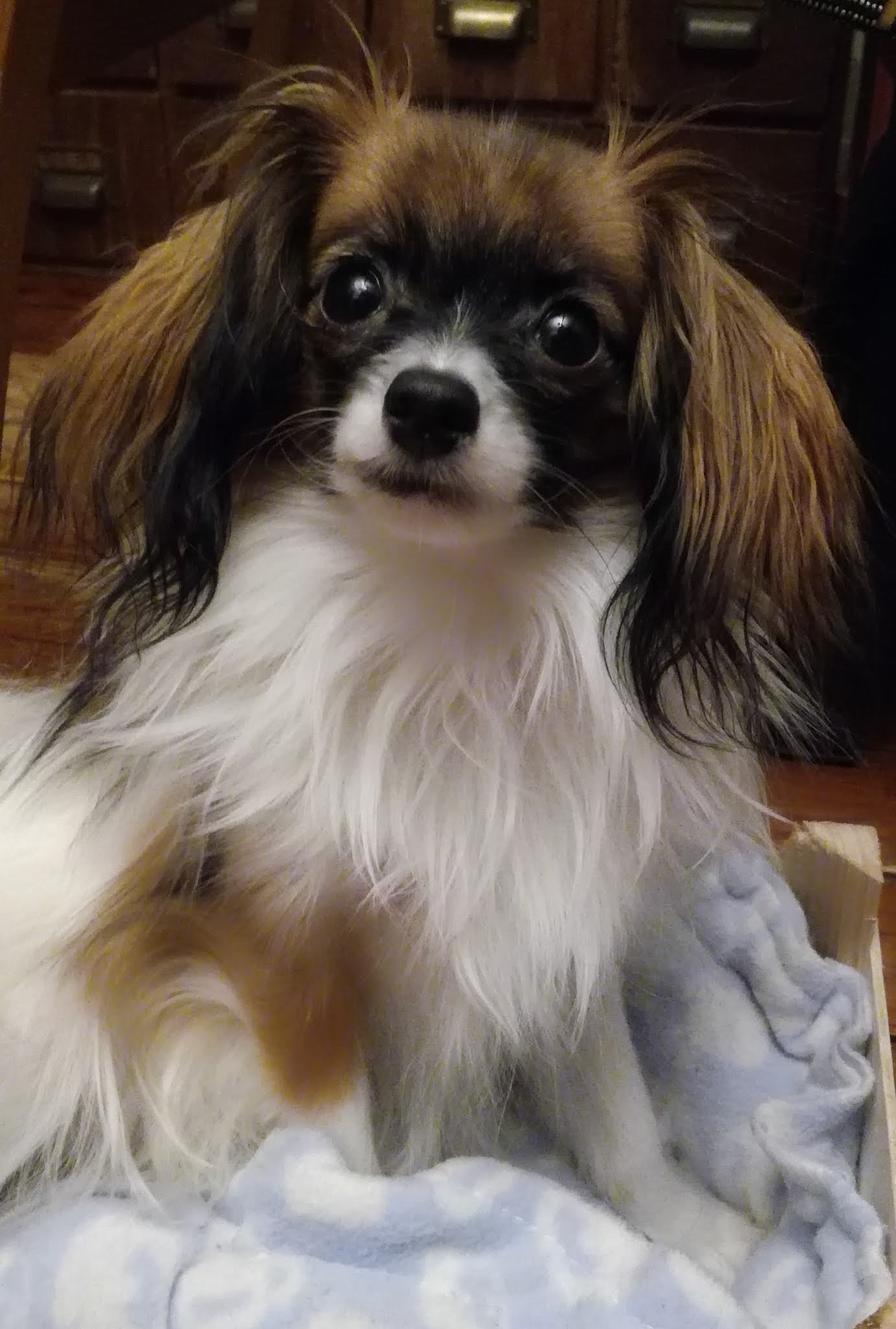 Photo n° 1 de l'avis de Mama.r fait le 03/11/2019 à 14:44
