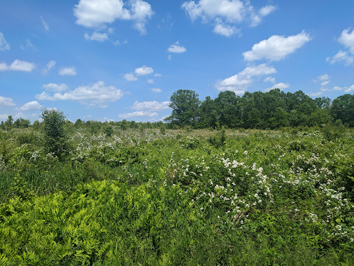 State Park «Evansburg State Park», reviews and photos, 851 Mayhall Rd, Collegeville, PA 19426, USA