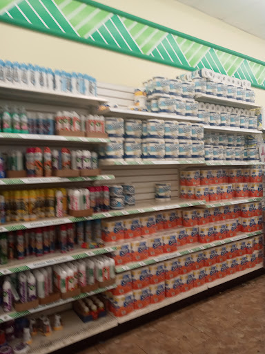 Dollar Store «Dollar Tree», reviews and photos, 9221 N 56th St, Temple Terrace, FL 33617, USA