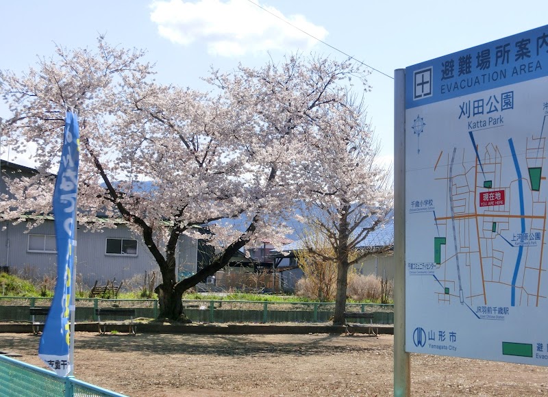 刈田公園