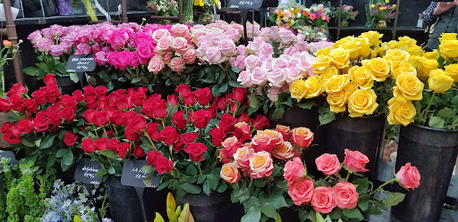 Florist «Bayport Flower Houses, Inc.», reviews and photos, 940 Montauk Hwy, Bayport, NY 11705, USA