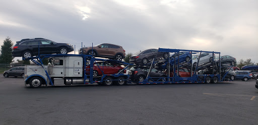 Auto Auction «Manheim New Jersey», reviews and photos, 730 NJ-68, Bordentown, NJ 08505, USA