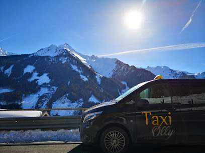 Taxi Olly Mayrhofen Tux Zillertal