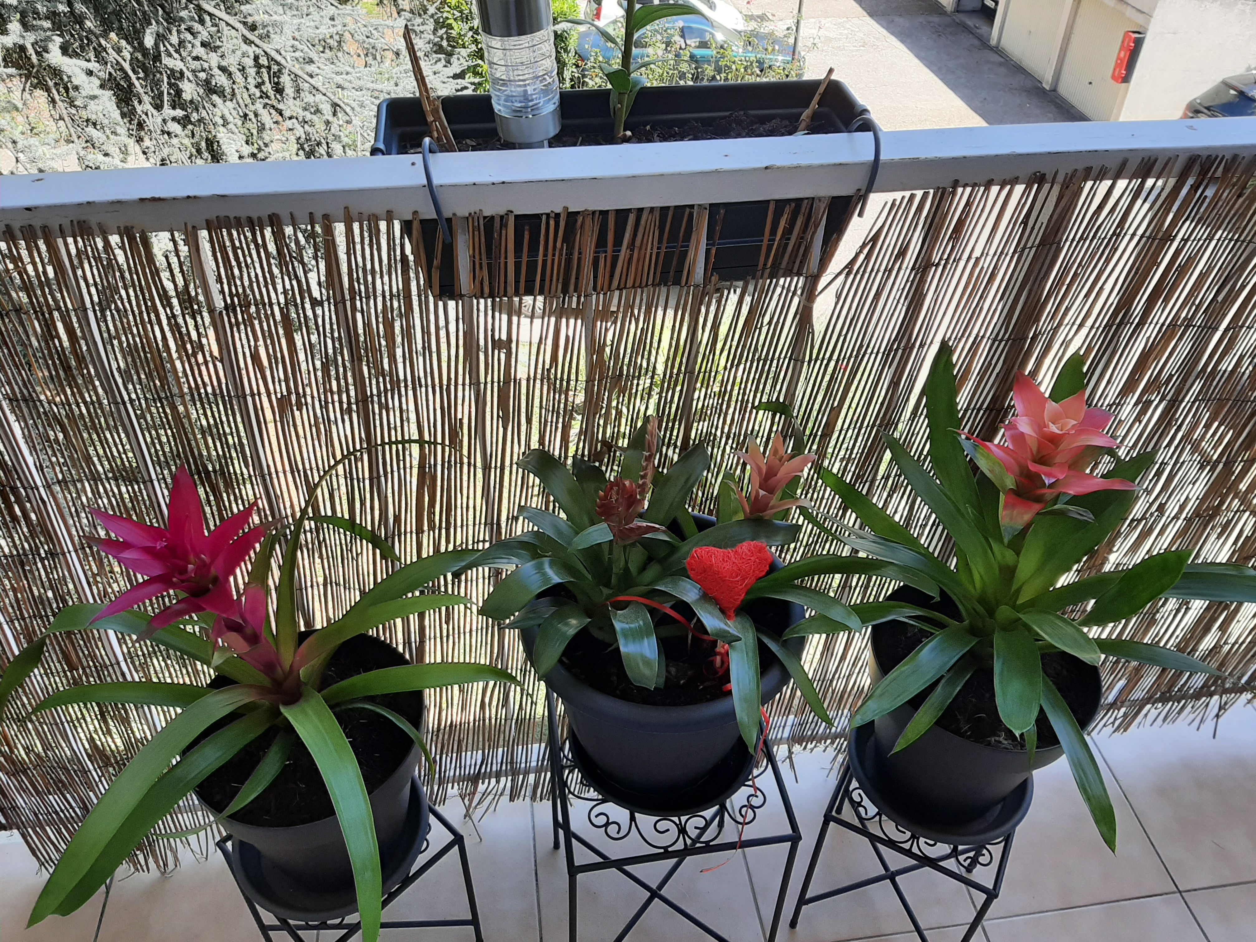 Photo n° 19 de l'avis de hélène.a fait le 05/09/2019 à 08:08