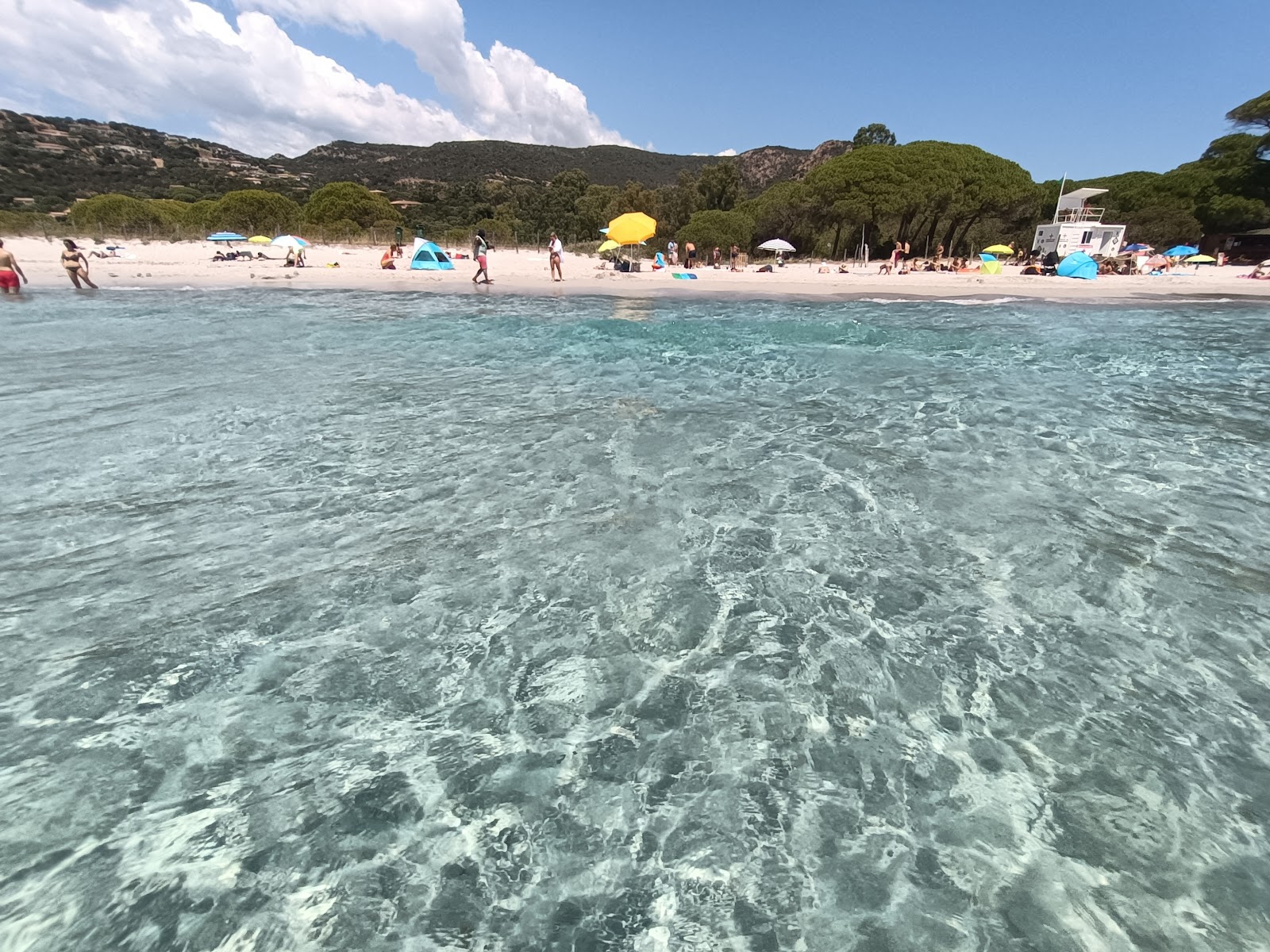 Plage de Palombaggia photo #24
