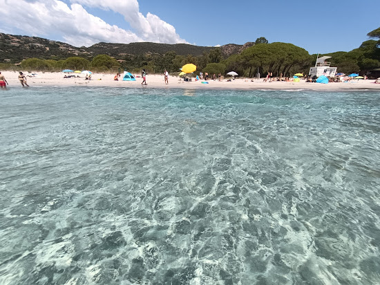 Plaża Palombaggia