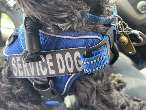 Natural Foods Store «Deep Roots Market», reviews and photos, 600 N Eugene St, Greensboro, NC 27401, USA