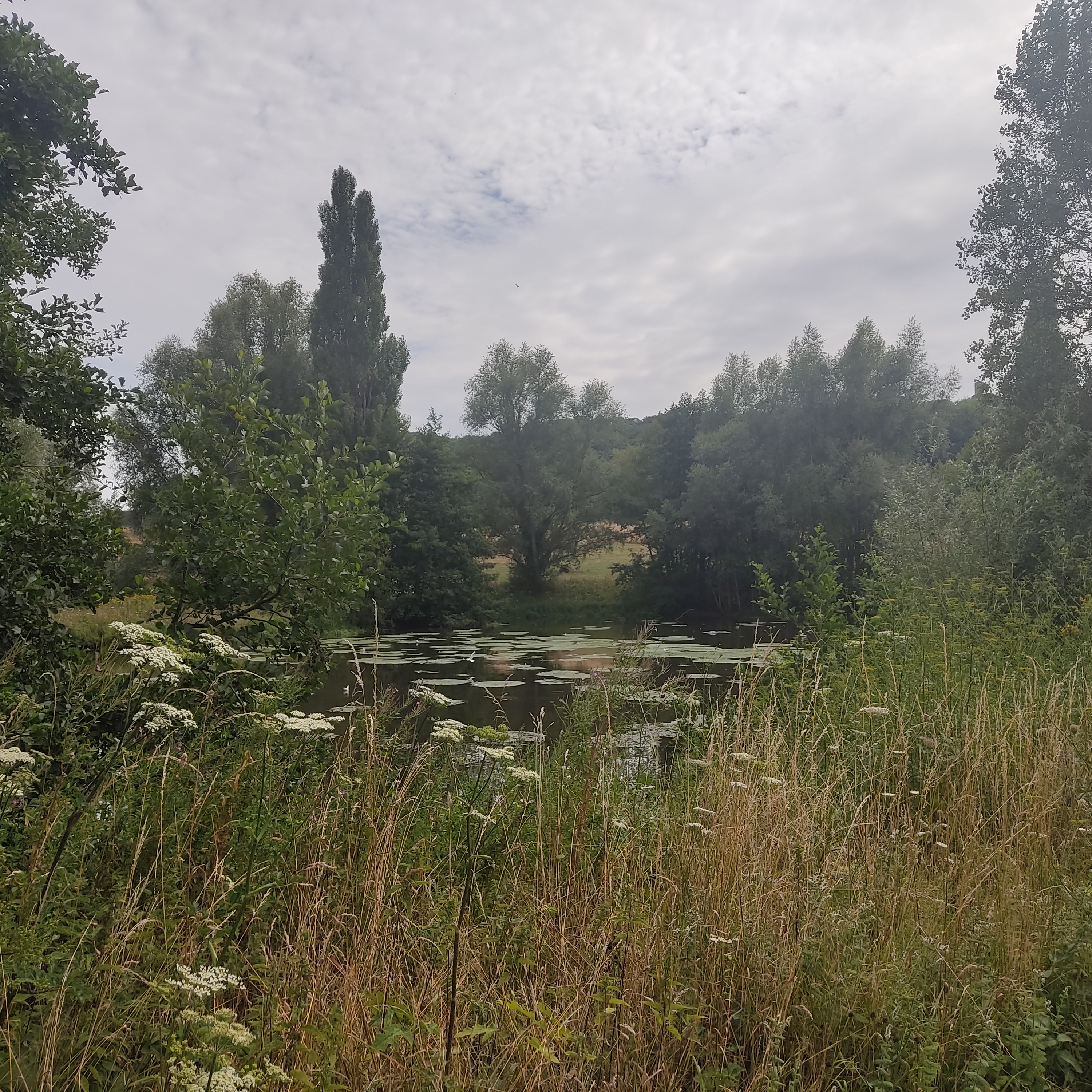 Photo n° 3 de l'avis de Café.a fait le 28/07/2022 à 17:38