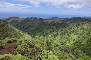 Honolulu Watershed Forest Reserve image