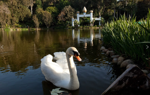 Self Realization Fellowship Lake Shrine (Reservation required)