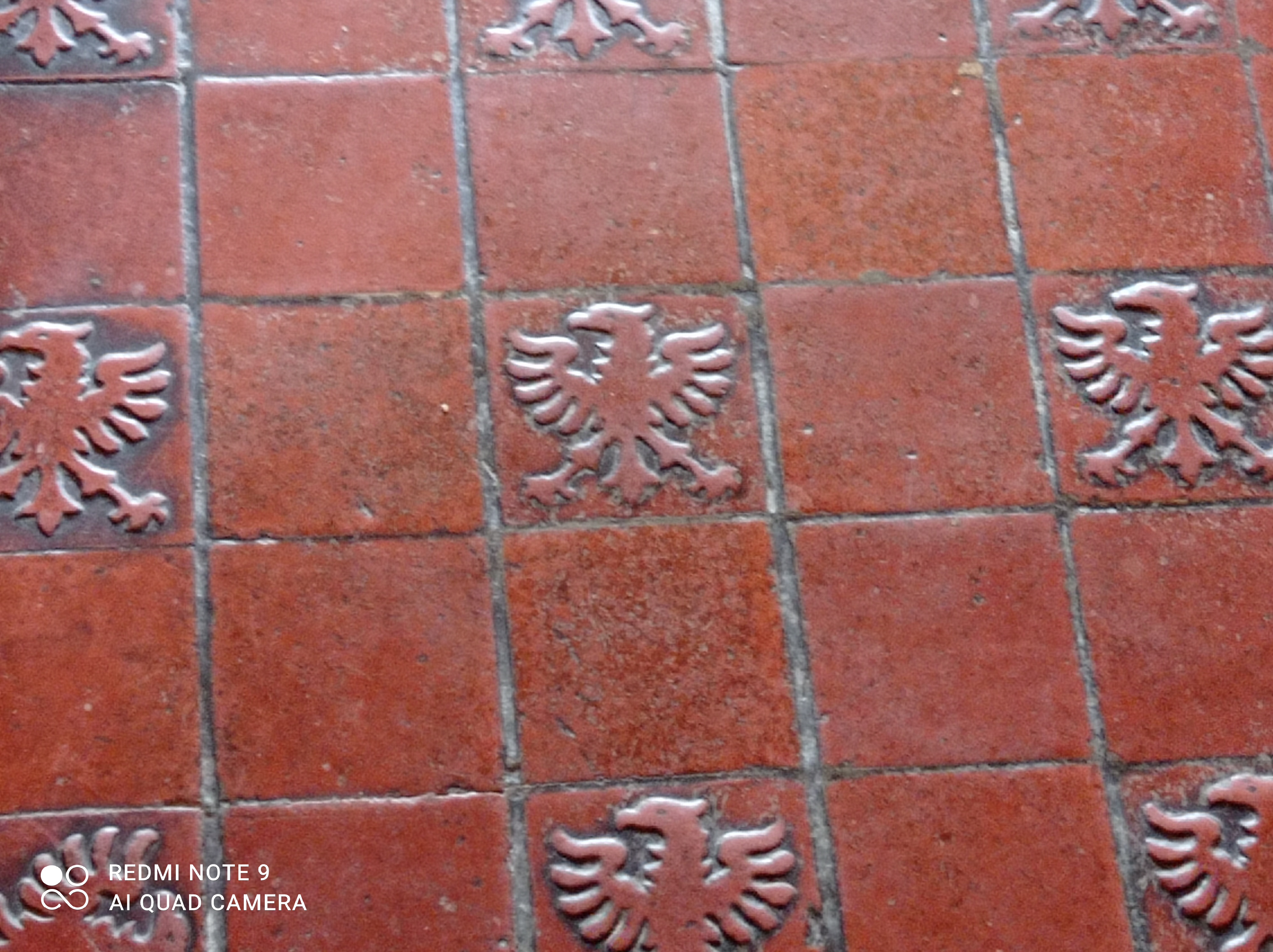 Photo n° 2 de l'avis de Patrick.o fait le 09/08/2022 à 13:52