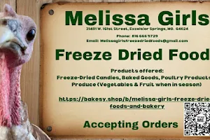 Melissa's Girls Freeze Dried Foods, Baked Goods, Fresh Produce, Canning and Poultry Farm image