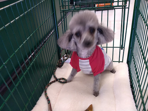 Pet Supply Store «Pet Supplies Plus», reviews and photos, 800 Linton Blvd, Delray Beach, FL 33444, USA