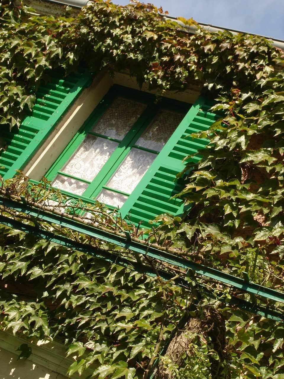 Photo n° 2 de l'avis de Mag.e fait le 10/10/2020 à 18:24