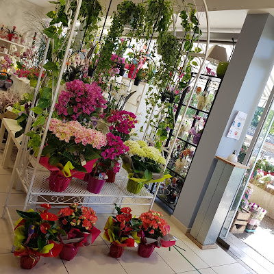 Espace Fleurs à Petit-Couronne