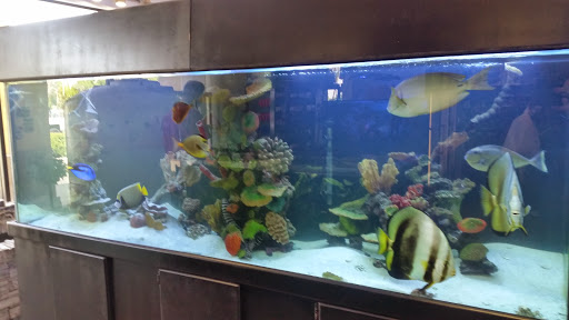 Pet Store «Pet World», reviews and photos, 891 Harriman Pl, San Bernardino, CA 92408, USA