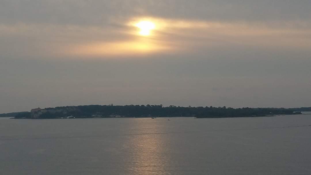 Photo n° 1 de l'avis de chen.h fait le 31/05/2020 à 19:07