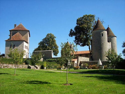 hôtels Château d'Andelot Andelot-Morval