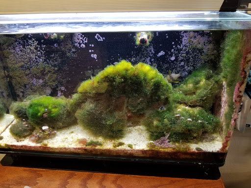 Tropical Fish Store «Seascape Aquatics», reviews and photos, 5038 Academy Blvd N, Colorado Springs, CO 80918, USA