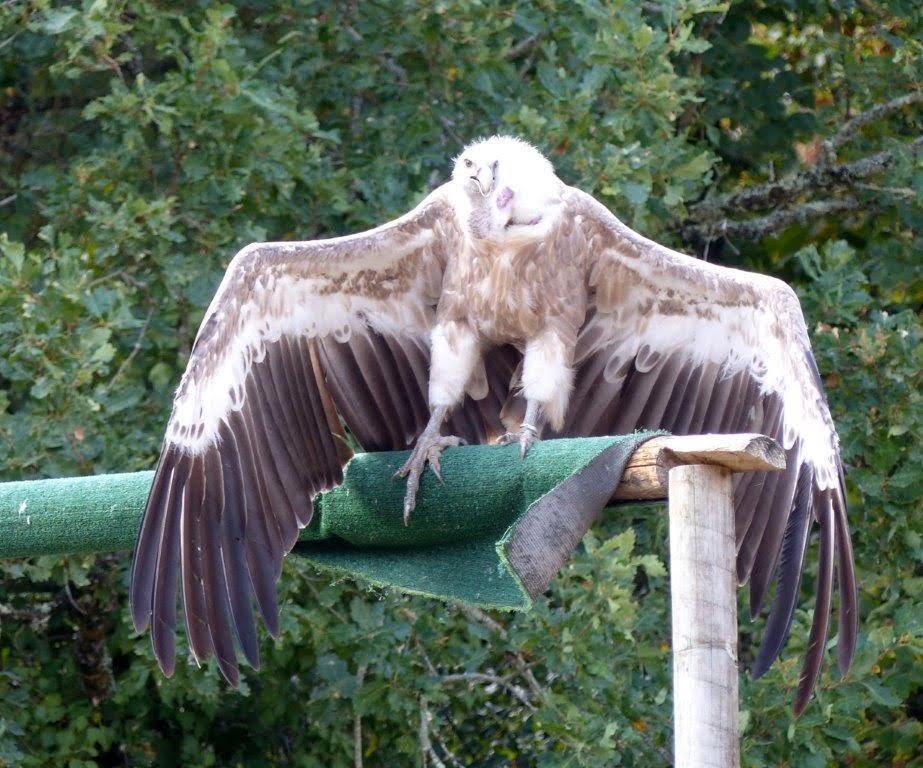 Photo n° 4 de l'avis de Nathalie.. fait le 17/08/2022 à 20:25