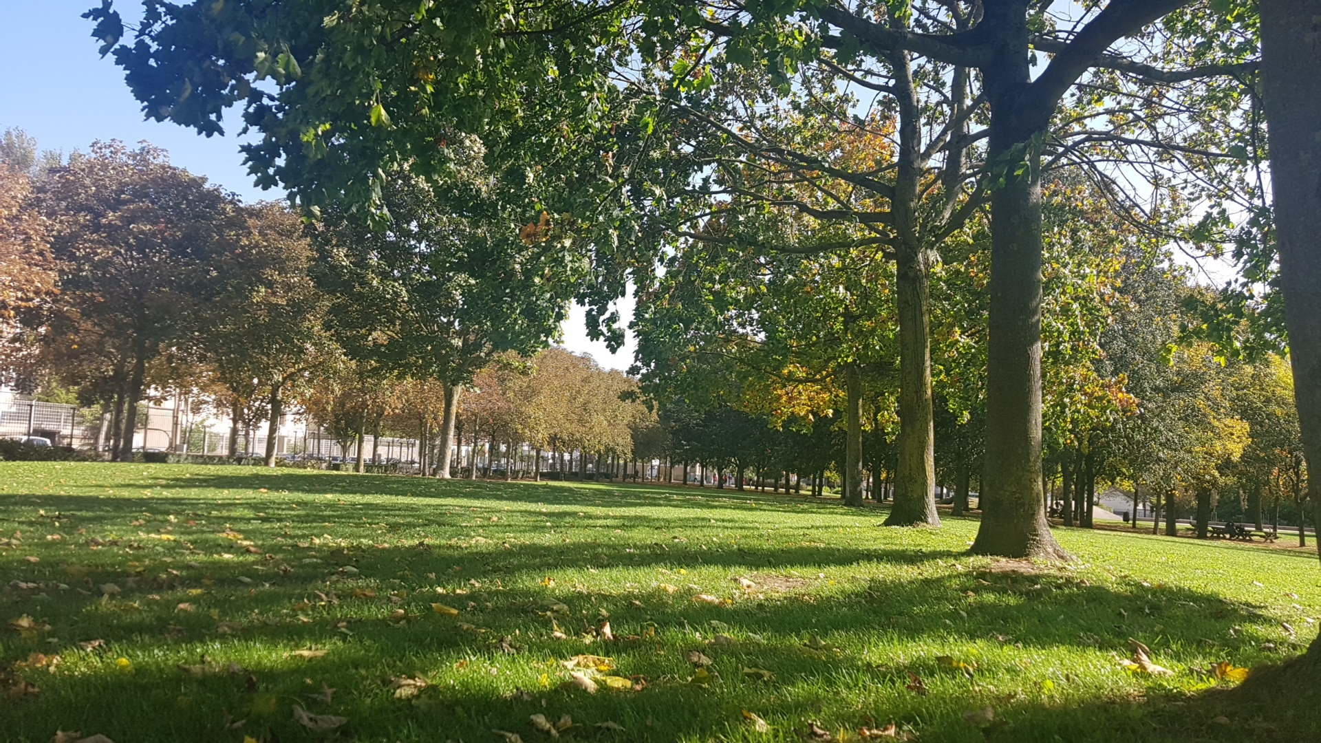 Photo n° 2 de l'avis de Mégane. fait le 13/10/2019 à 10:42
