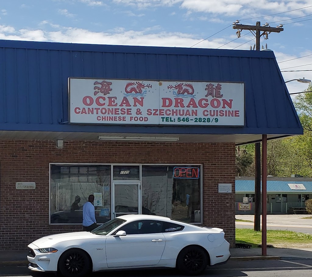 Ocean Dragon Chinese Restaurant 29440