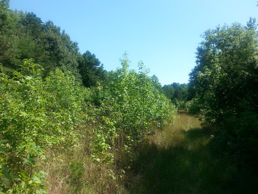 Nature Preserve «Eldora Nature Preserve», reviews and photos, 2350 NJ-47, Delmont, NJ 08314, USA