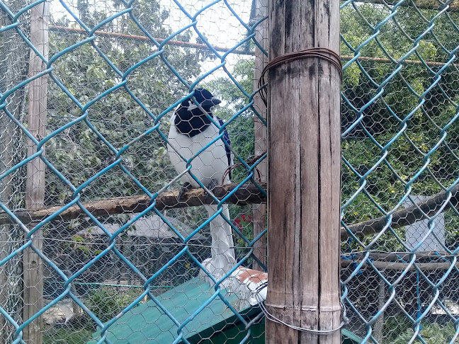 Via a Yamburara Bajo Km 1.45, Vilcabamba 110119, Ecuador