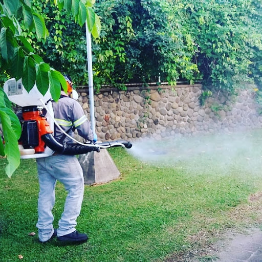 Fumigadora Guatamala Killzone