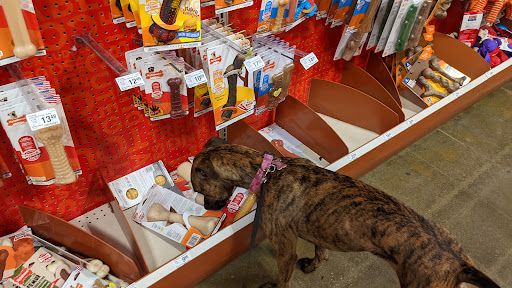 Pet Supply Store «PetSmart», reviews and photos, 2216 E Springs Dr, Madison, WI 53704, USA