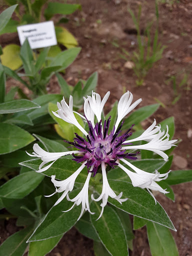 Grocery Store «Super Stop & Shop», reviews and photos, 446 Putnam Pike, Greenville, RI 02828, USA