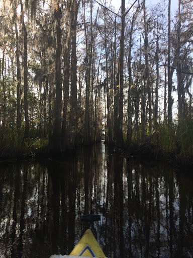 Canoe & Kayak Tour Agency «Altamaha Coastal Tours», reviews and photos, 229 Fort King George Dr, Darien, GA 31305, USA