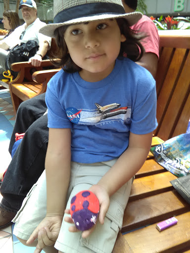 Cosmetics Store «Lush Cosmetics @ MCO», reviews and photos, 9345 Orlando International Airport Tram, Orlando, FL 32827, USA