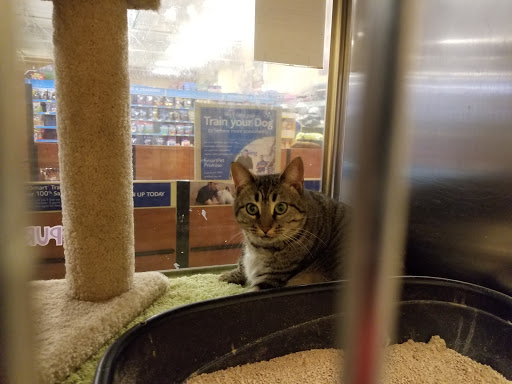 Pet Supply Store «PetSmart», reviews and photos, 3665 Marketplace Blvd, East Point, GA 30344, USA