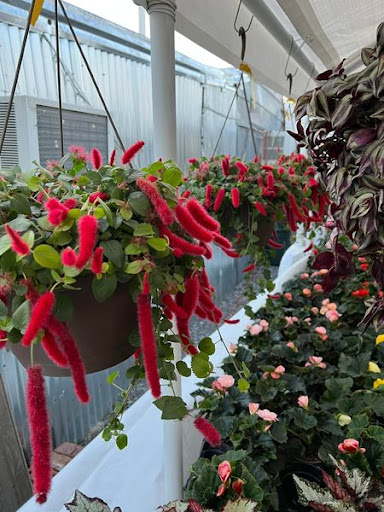 Florist «TG Designs», reviews and photos, 19231 Longmeadow Rd, Hagerstown, MD 21742, USA